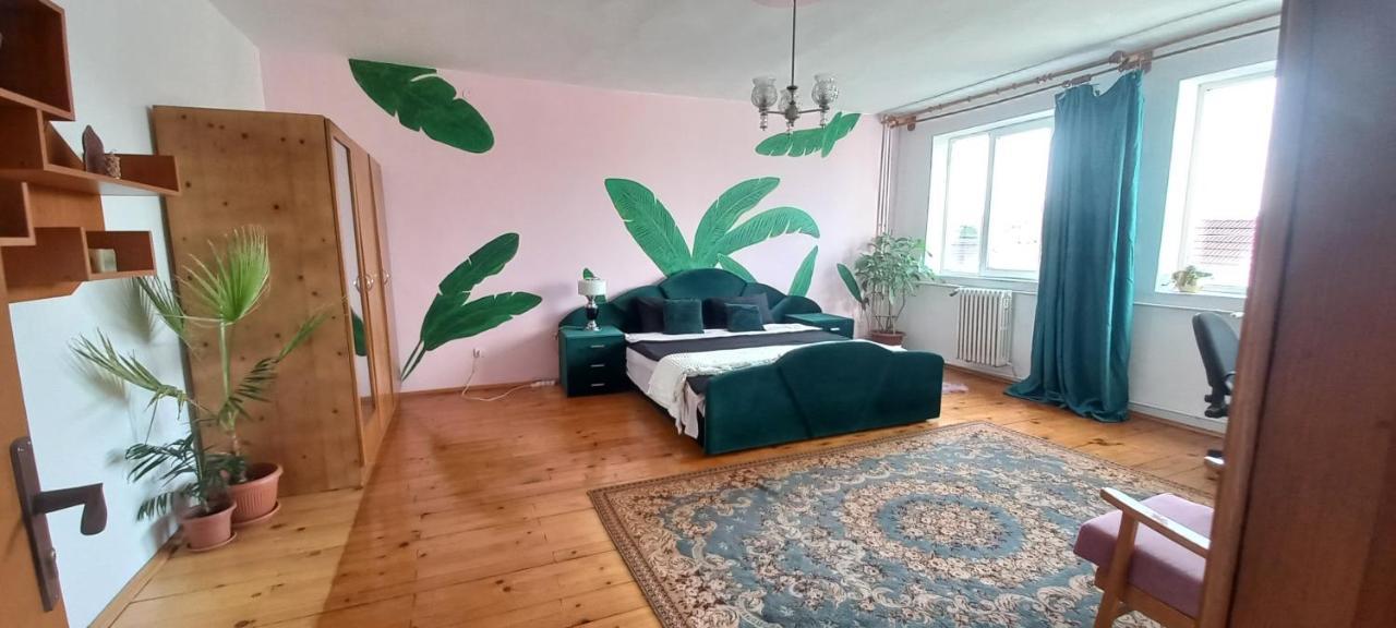 Casa Zora Appartamento Alba Iulia Esterno foto